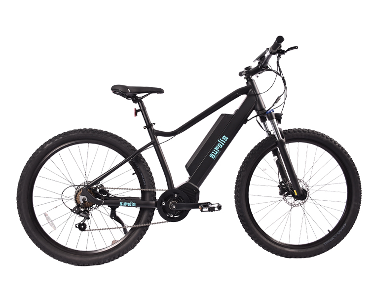 Aurelia E-bike CG-1