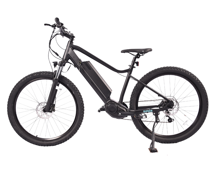 Aurelia E-bike CG-1