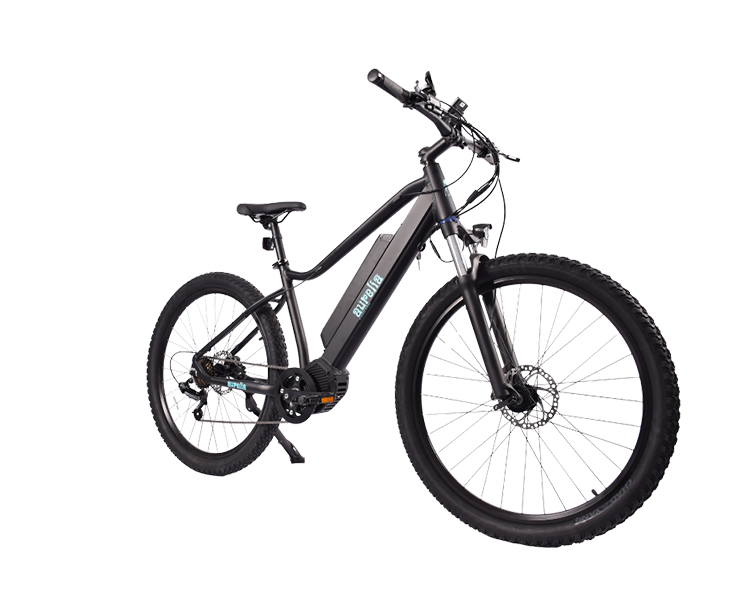 Aurelia E-bike CG-1